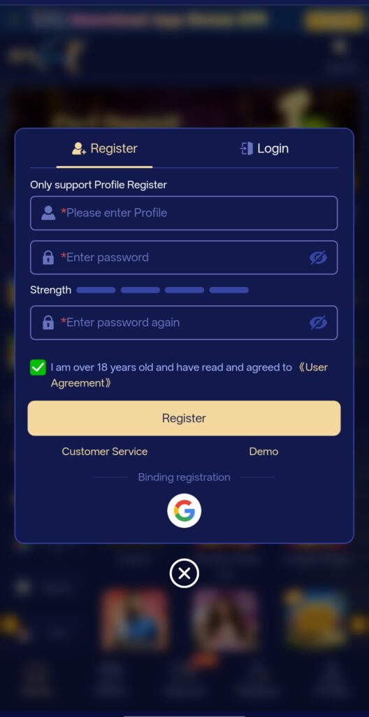 IPLFUN cricket betting India interface